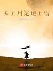 天上月是地上雪 天上月是地上雪