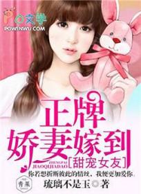 甜宠女友，正牌娇妻嫁到